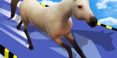 Animal Impossible Track Rush