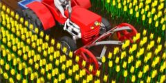 Cut the Grass   Cutting Grass