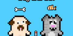 Dog and Cat