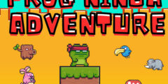 Frog Ninja Adventure