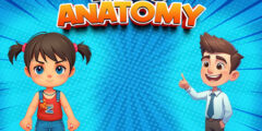 Kids Anatomy