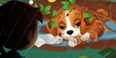 Lost Puppy Rescue and Care
