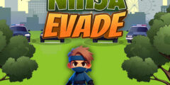 Ninja Evade