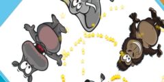 Zoo Zoom Shapes